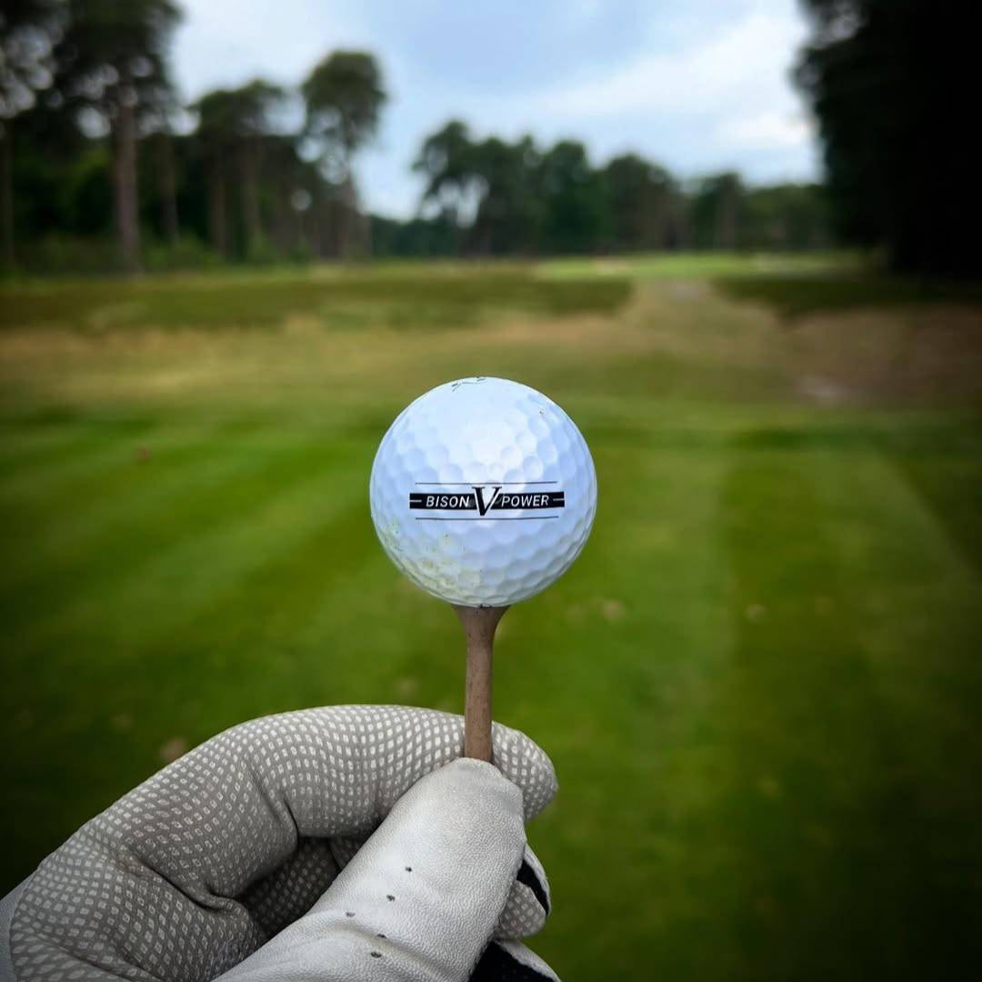 K9 Bison V Power - For Swing Speed under 105 mph